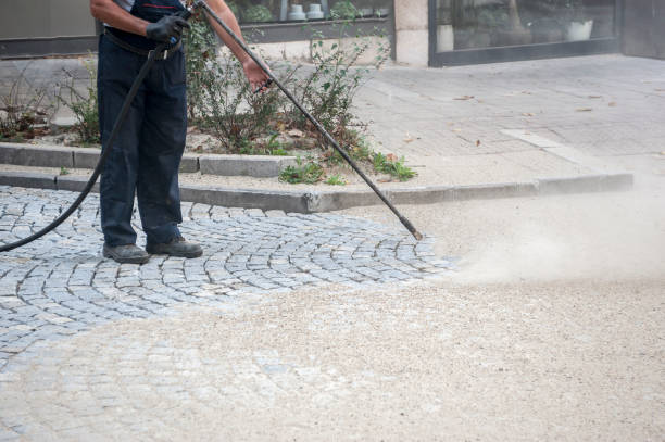 Best Fence Cleaning  in Hillsborough, NC